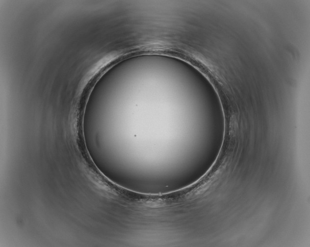 X0000112471410200908241223