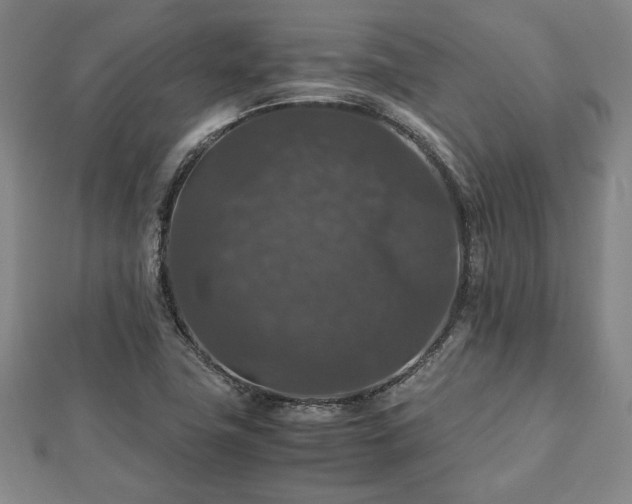 X0000112471411200908241223