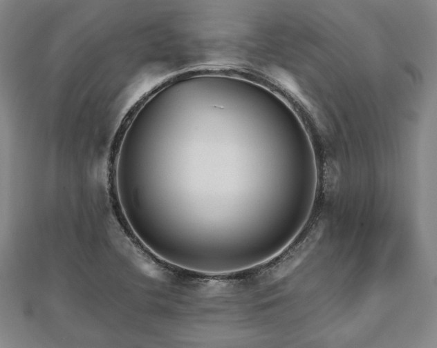 X0000112471412200908241223