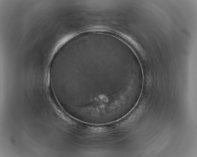 X0000112471413200908241223