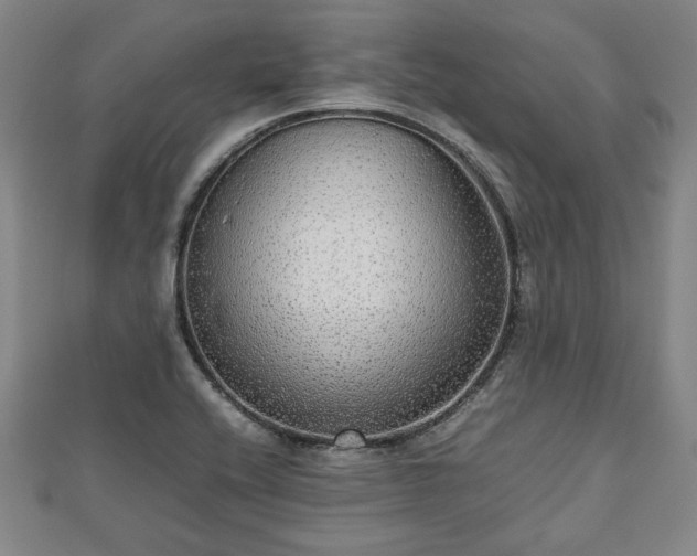 X0000112471416200908241223