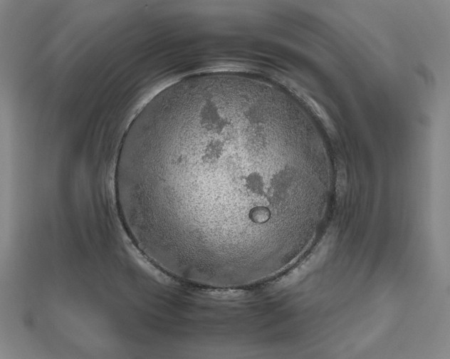 X0000112471417200908241223