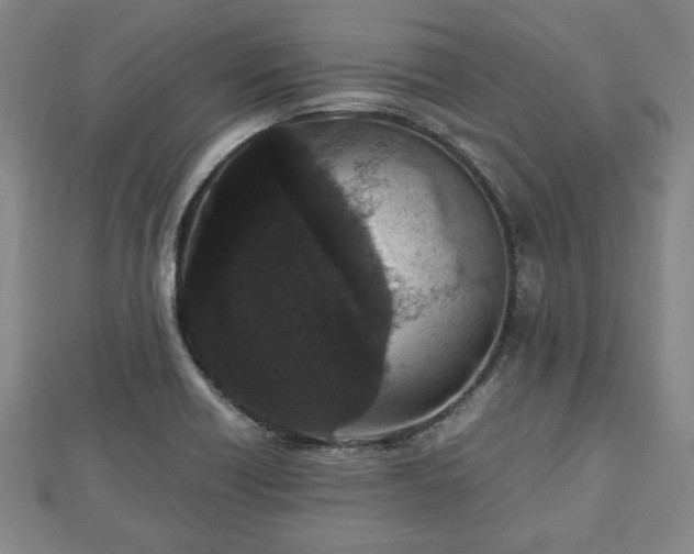 X0000112471418200908241223