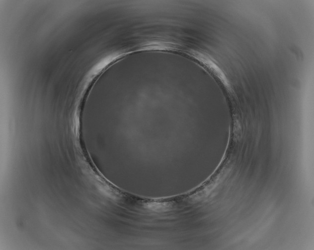 X0000112471419200908241223