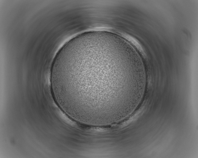 X0000112471420200908241223