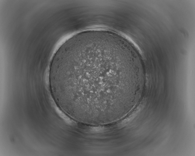 X0000112471421200908241223