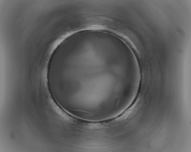 X0000112471422200908241223