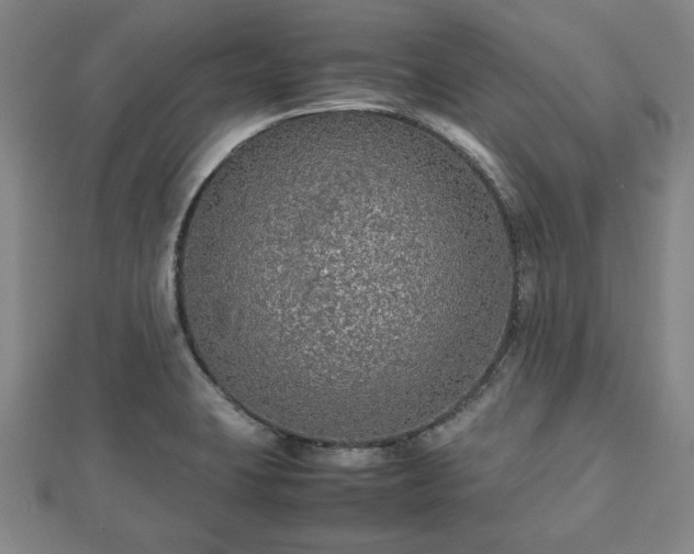 X0000112471423200908241223