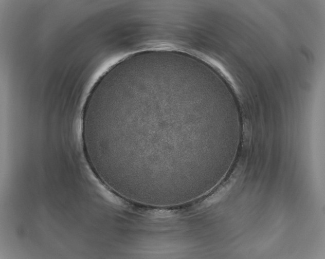 X0000112471424200908241223