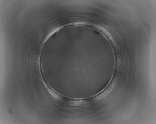 X0000112471425200908241223