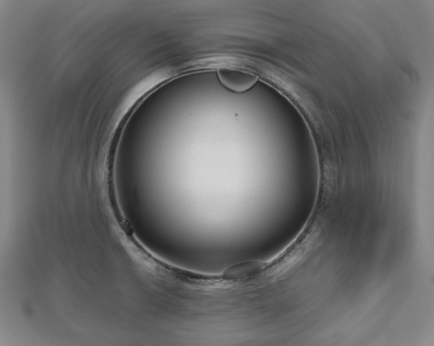 X0000112471426200908241223