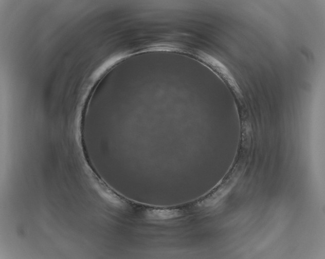 X0000112471427200908241223