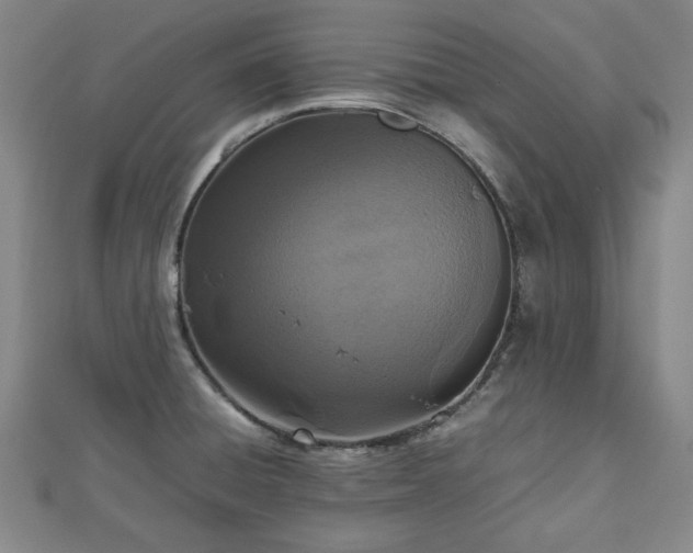 X0000112471428200908241223