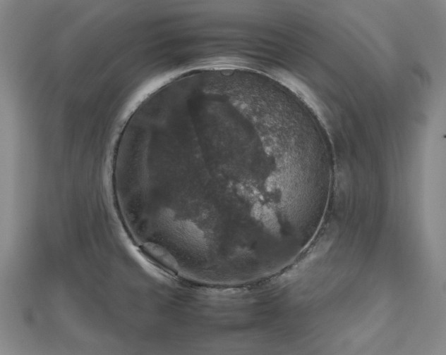 X0000112471429200908241223