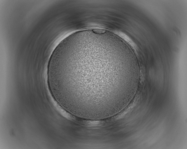 X0000112471431200908241223