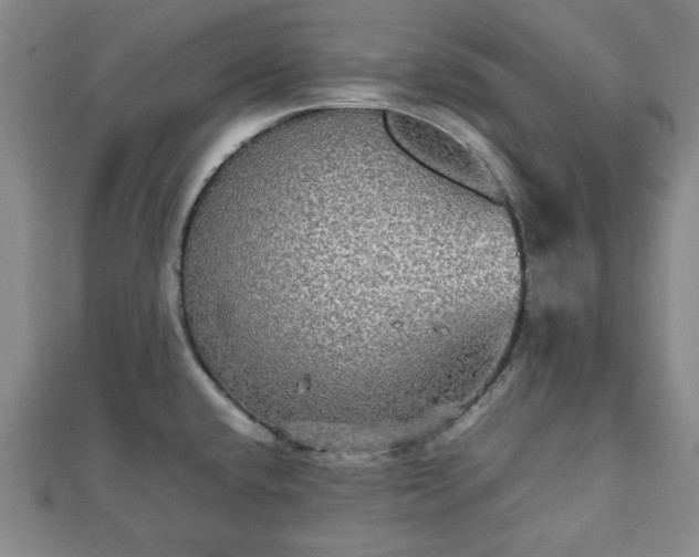 X0000112471432200908241223