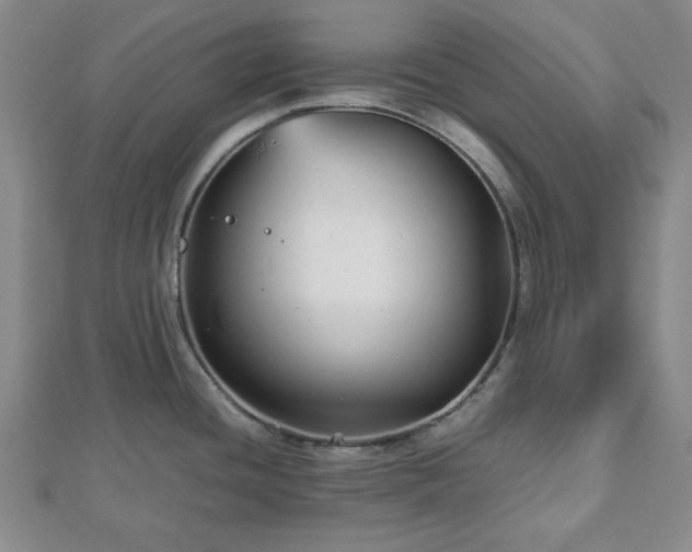 X0000112471436200908241223