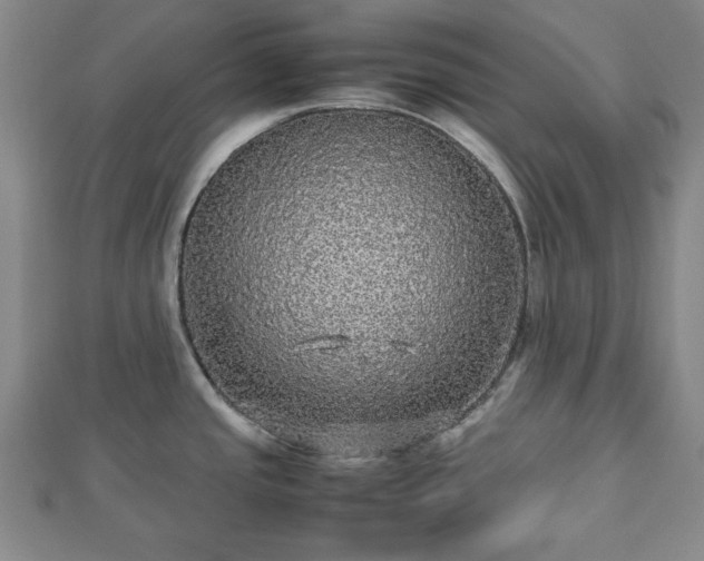 X0000112471437200908241223