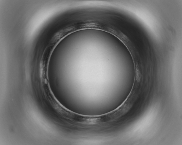 X0000112471438200908241223