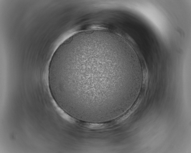 X0000112471439200908241223