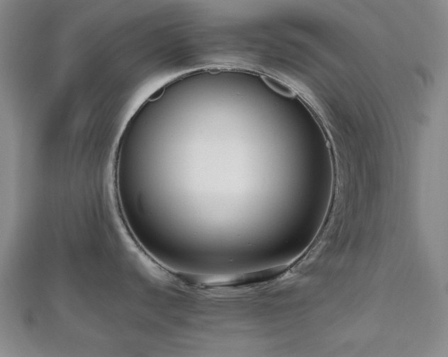 X0000112471440200908241223