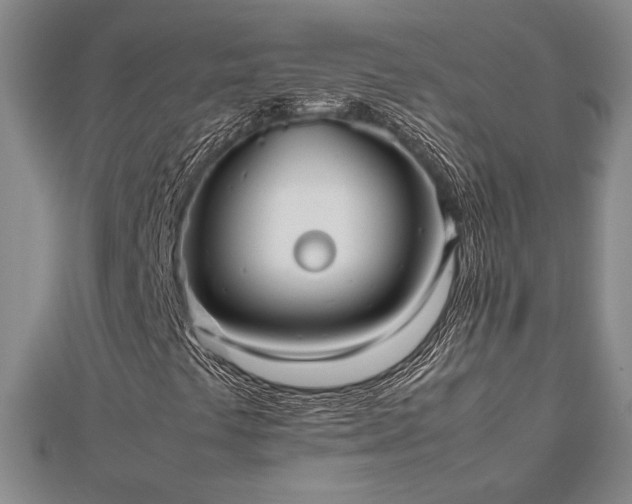 X0000112471441200908241223