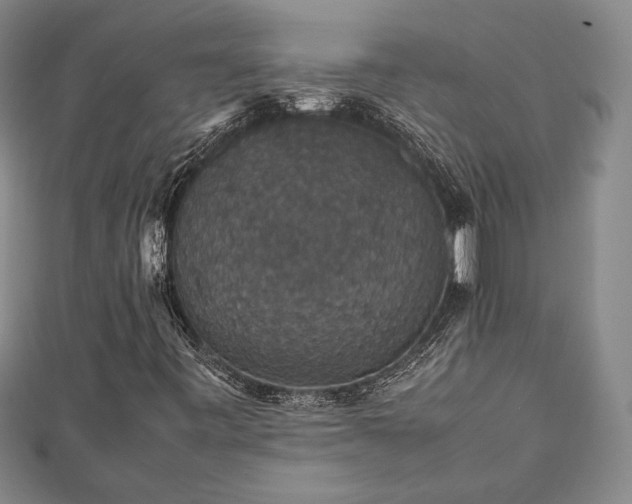 X0000112471443200908241223