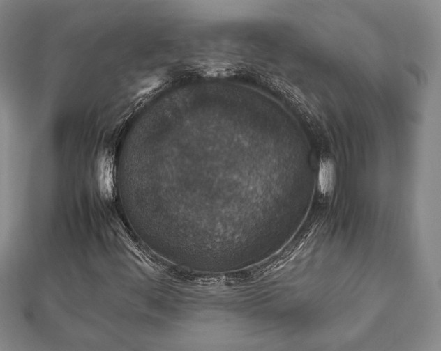 X0000112471444200908241223