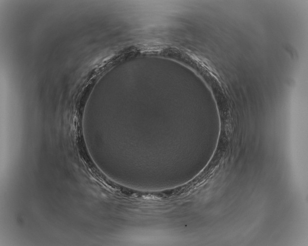 X0000112471445200908241223