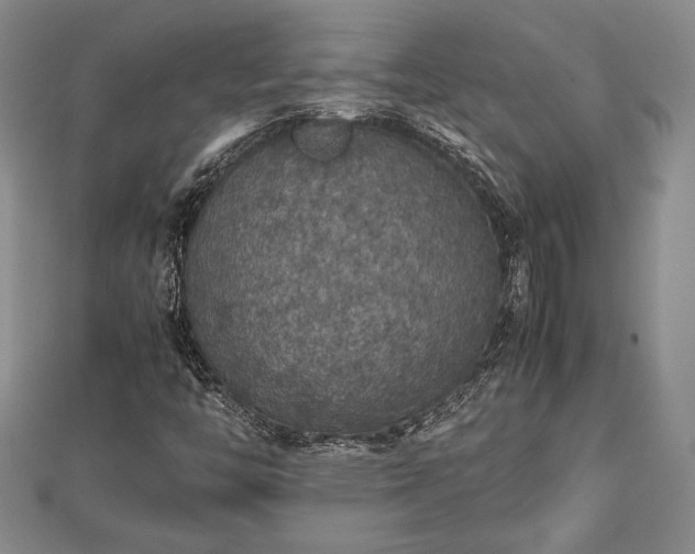 X0000112471446200908241223