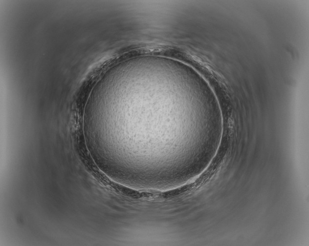 X0000112471447200908241223