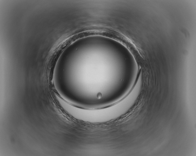 X0000112471448200908241223