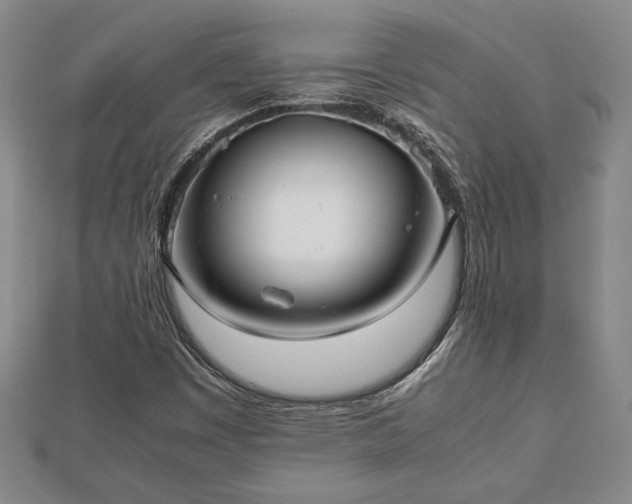 X0000112471449200908241223