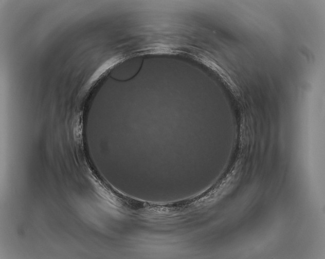 X0000112471450200908241223