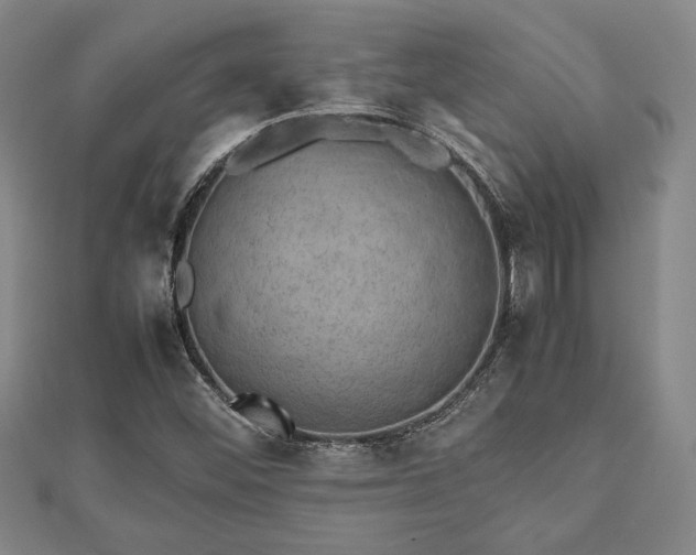 X0000112471452200908241223