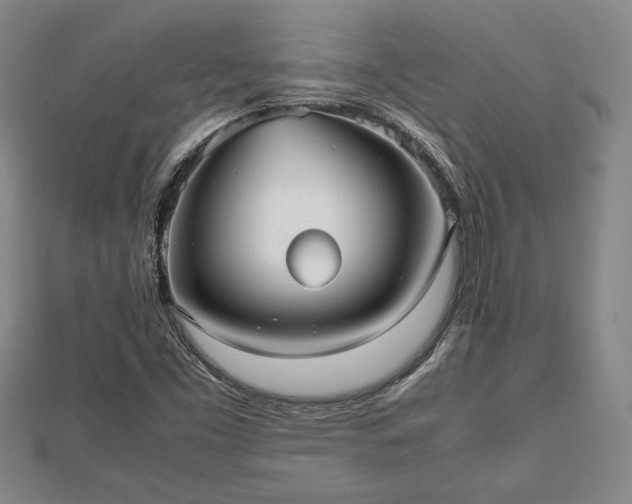 X0000112471453200908241223