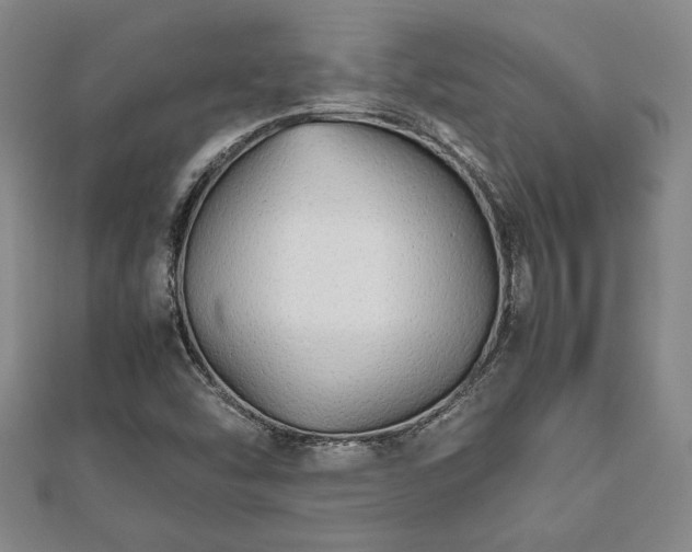 X0000112471454200908241223