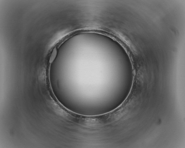 X0000112471456200908241223