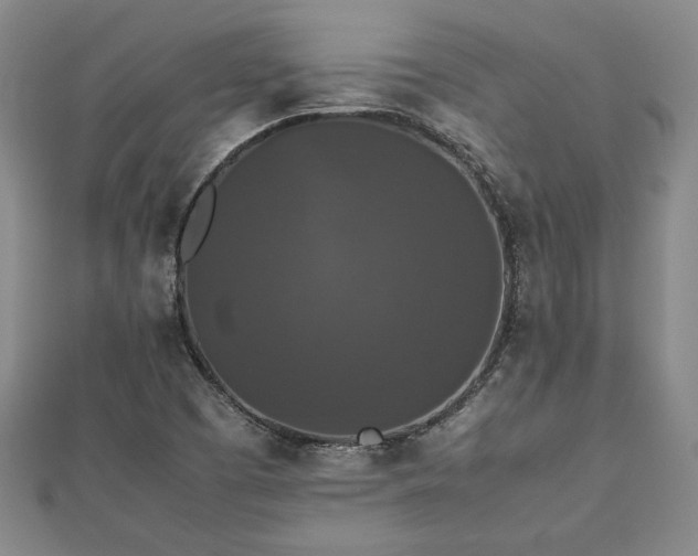 X0000112471457200908241223