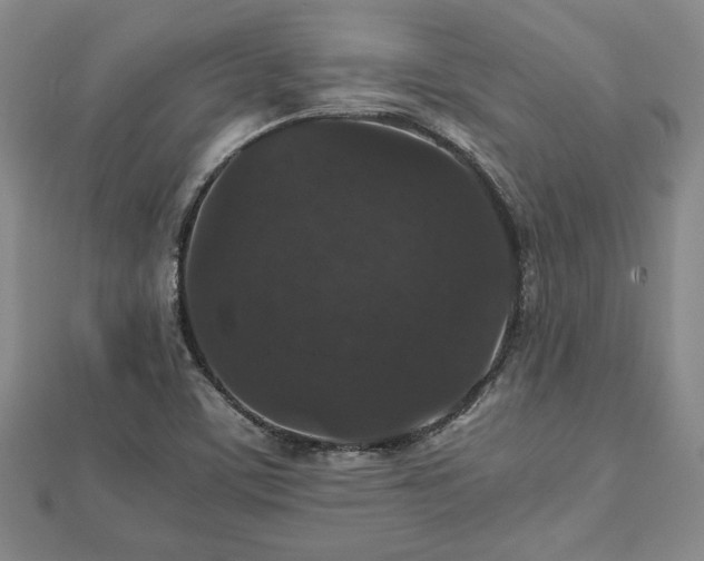 X0000112471459200908241223