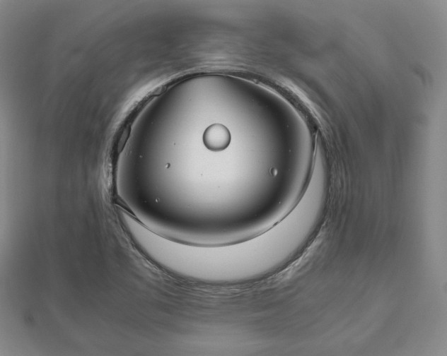 X0000112471461200908241222