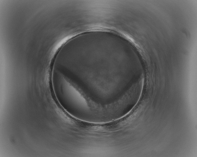 X0000112471463200908241222