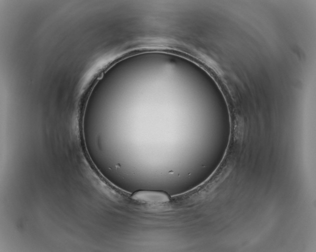 X0000112471464200908241222