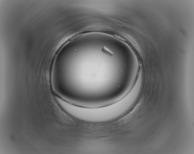 X0000112471465200908241222