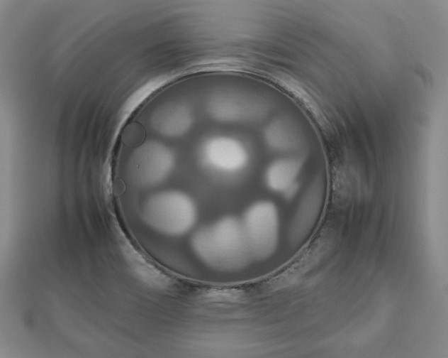 X0000112471466200908241222