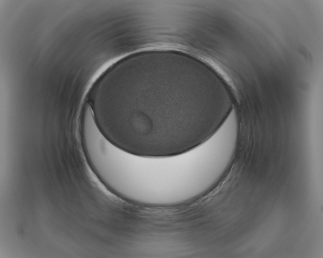 X0000112471468200908241222