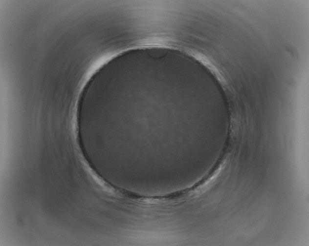 X0000112471469200908241222