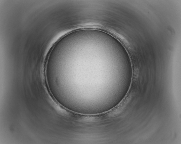 X0000112471470200908241222