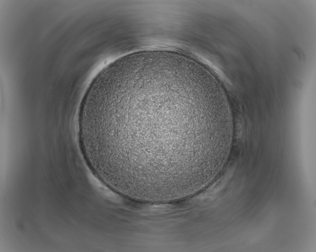 X0000112471471200908241222