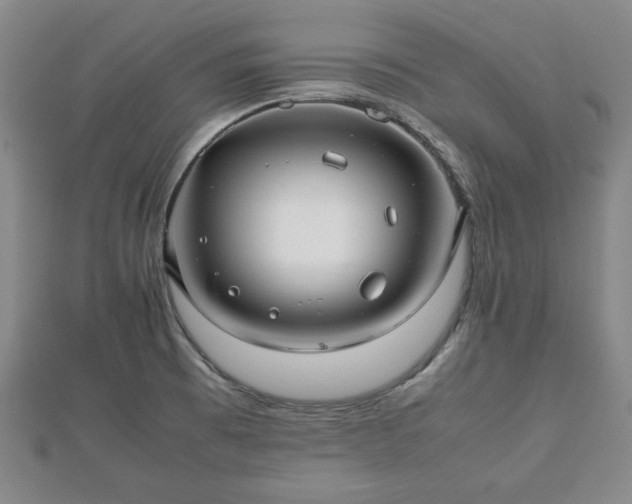 X0000112471473200908241222